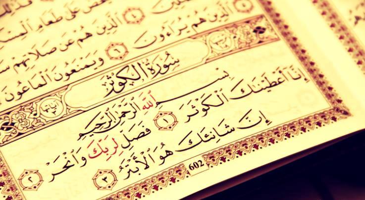 حكم الأضحية