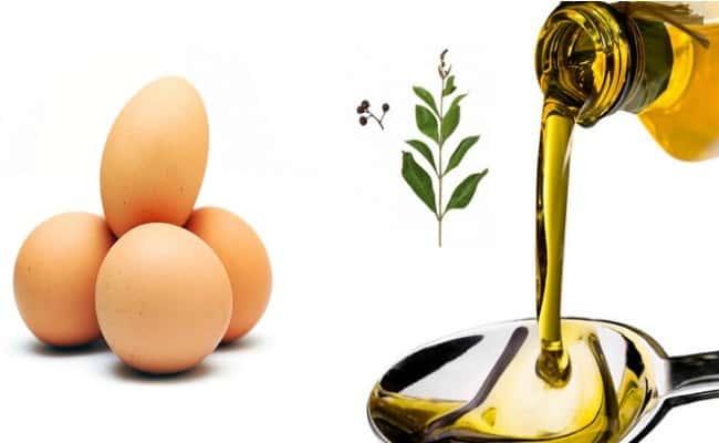 ماسك البيض وزيت الزيتون