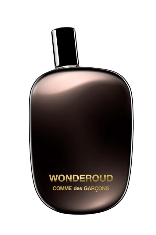 Comme Des Garcons Wonderoud