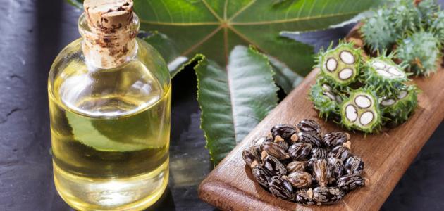 ماسك زيت الخروع والصبار