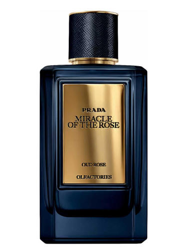 Prada 'Miracle of the Rose'