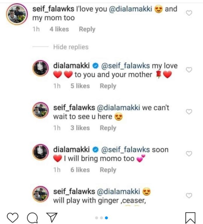 التعليقات