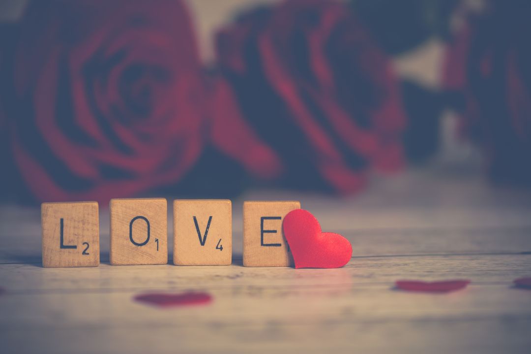 اقتباسات قصيرة وعميقة ستغير نظرتك للحب - مصدر الصورة: pexels