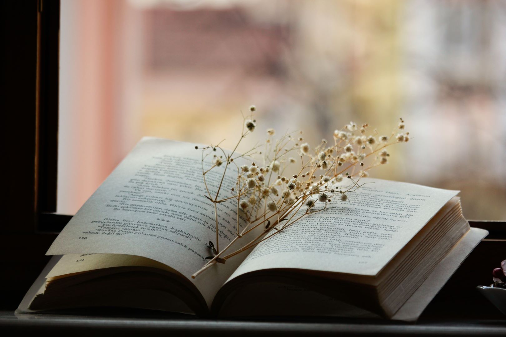 كتاب مفتوح  به بعض الزهور الصغيرة 