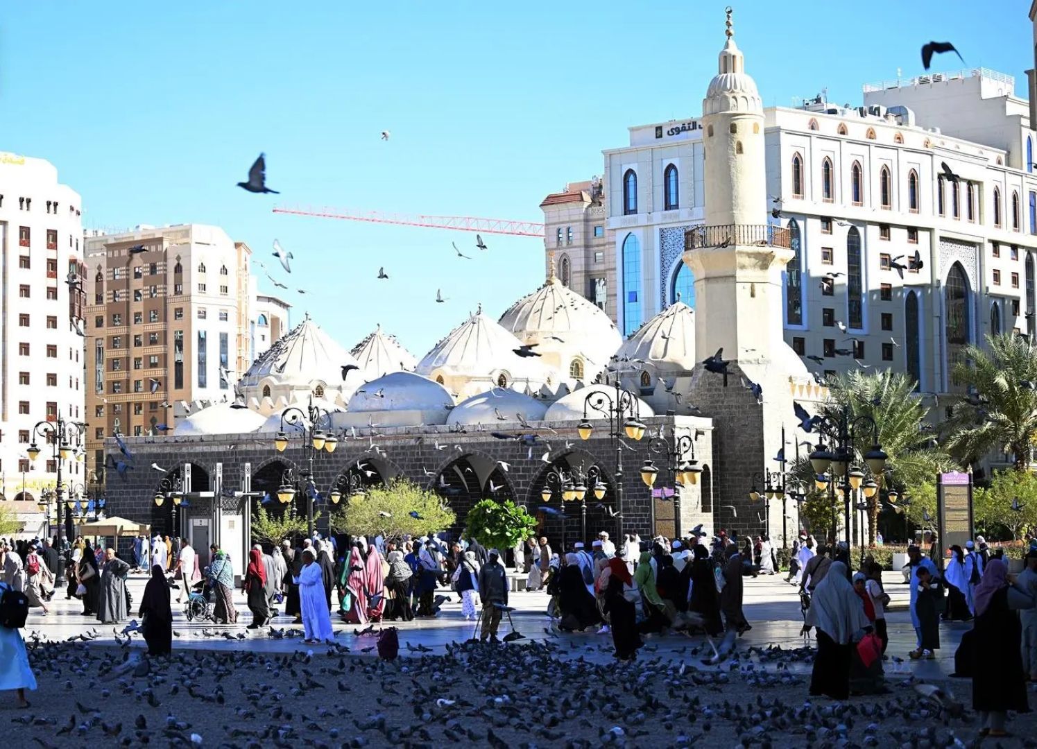المدينة المنورة