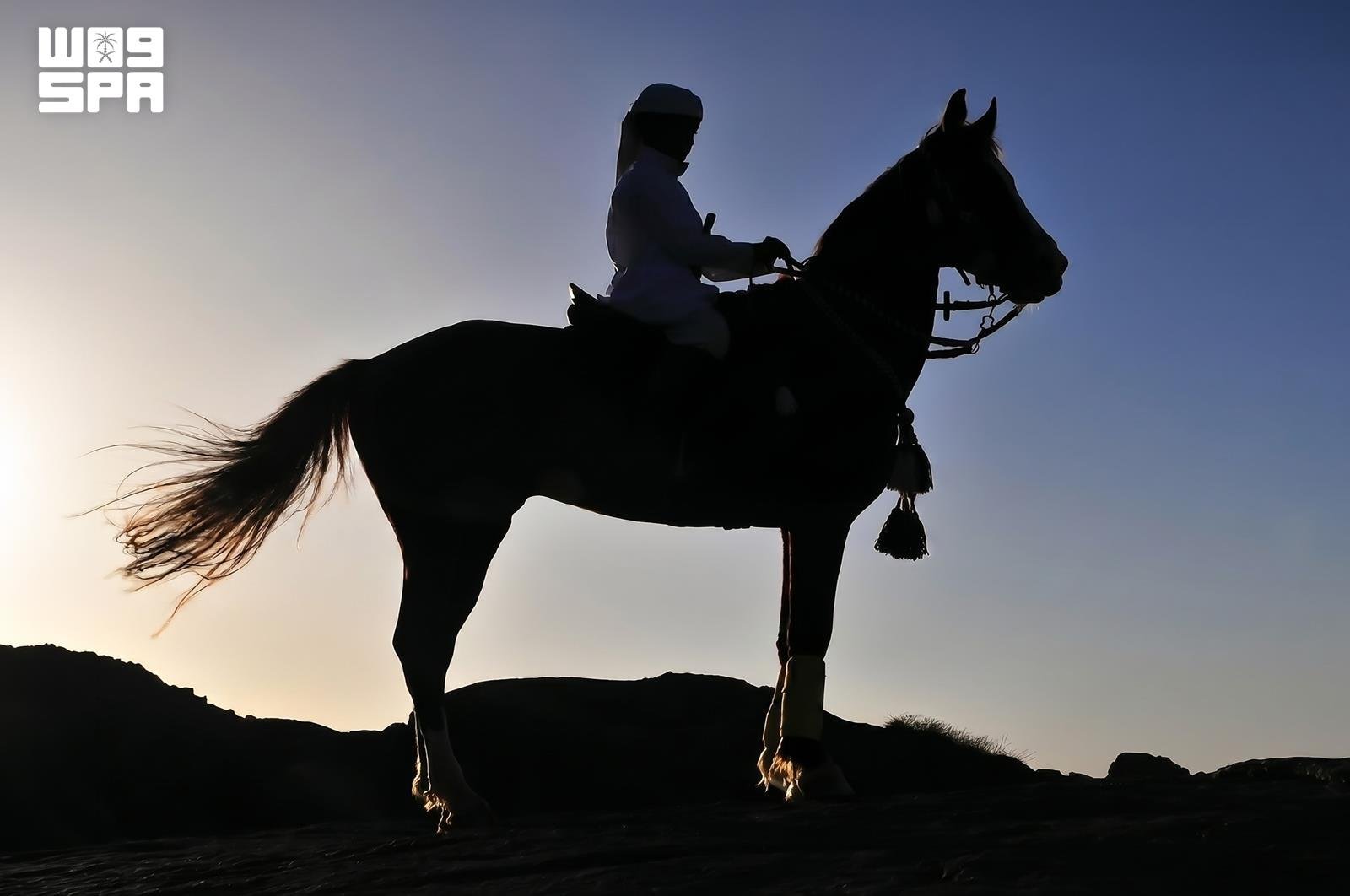 عدسات المبدعين توثق مشاهد خلابة لنجران في يوم التصوير العالمي (مصدر الصورة: واس)