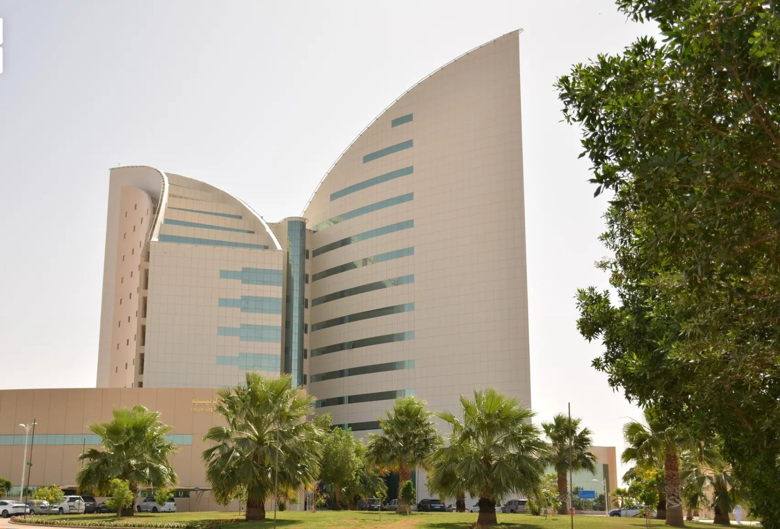 جامعة نجران
