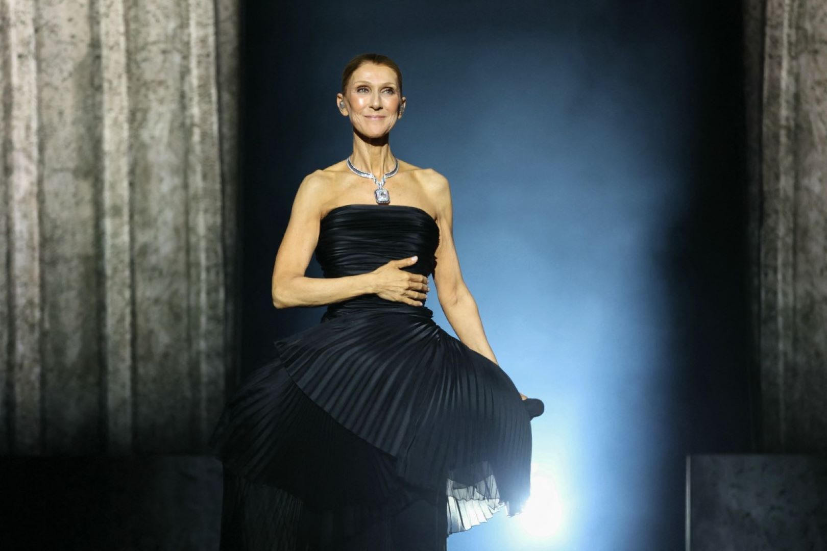 حفل سيلين ديون Celine Dion في باريس. مصدر الصورة:  THOMAS SAMSON / AFP