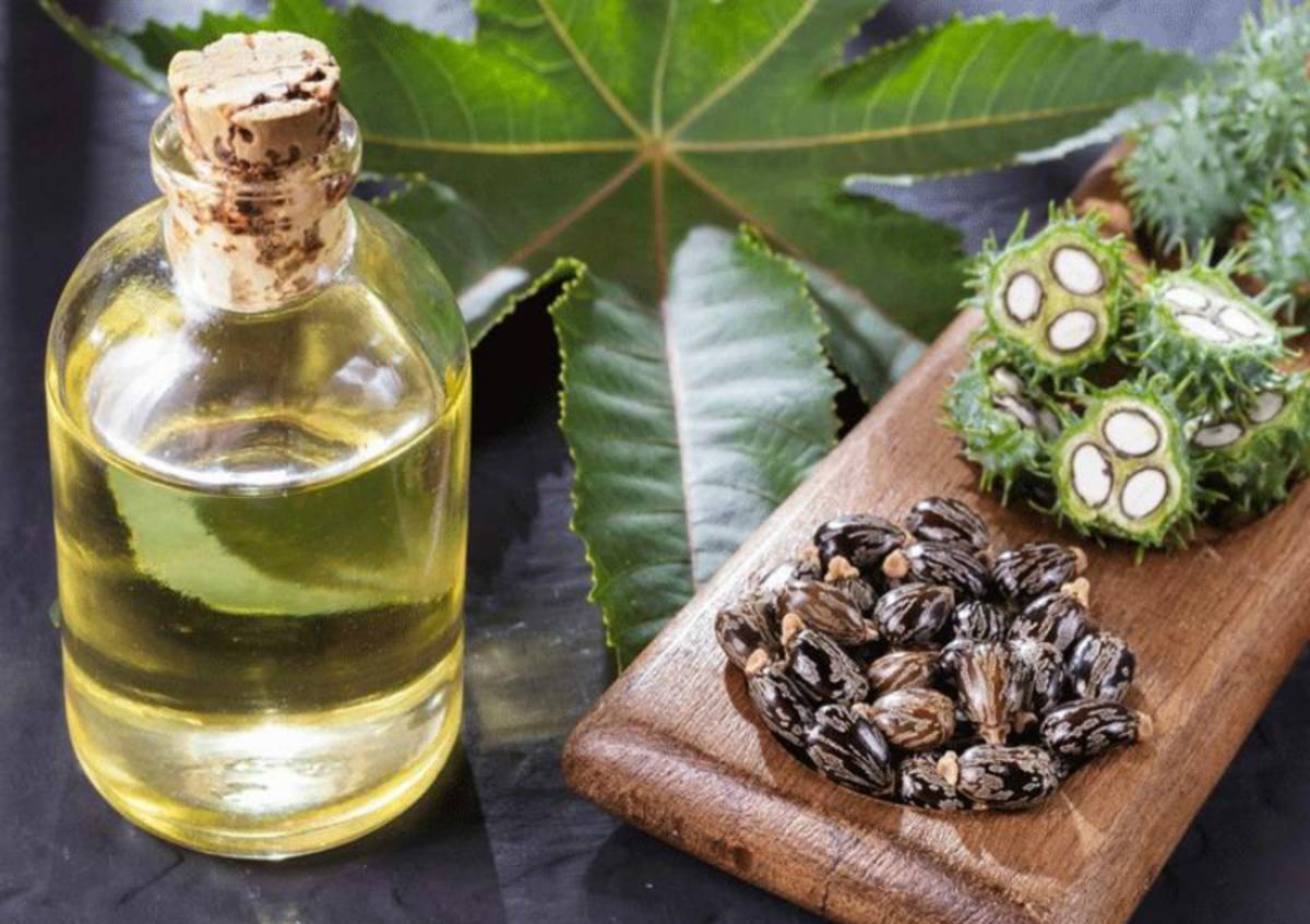 زيت لتطويل الشعر