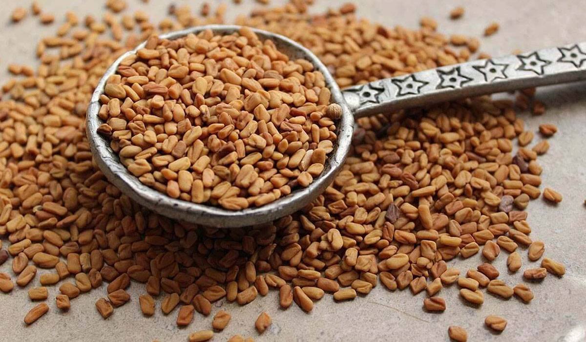 الحلبة لتكبير الثدي