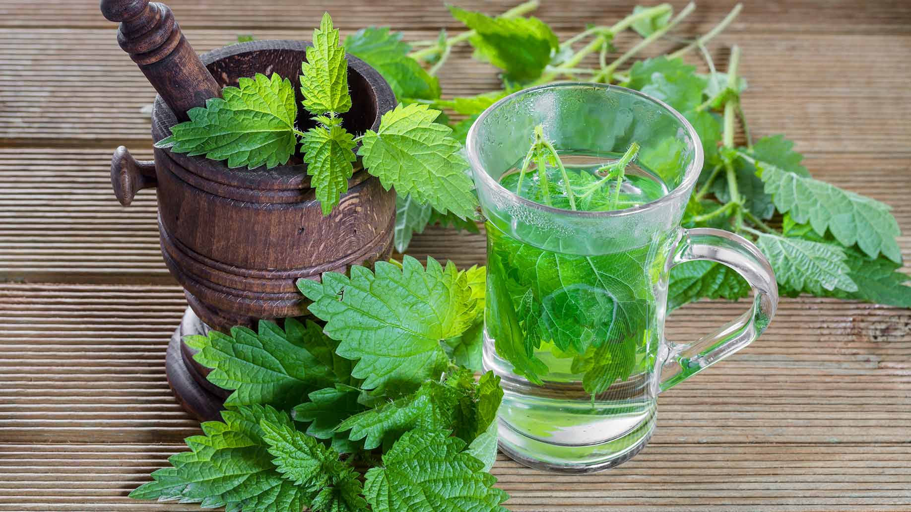 خلطات طبيعية للتخلص من رائحة الفم
