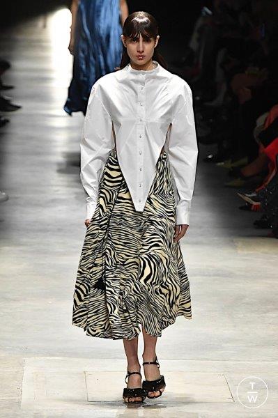 christopher kane Zebra