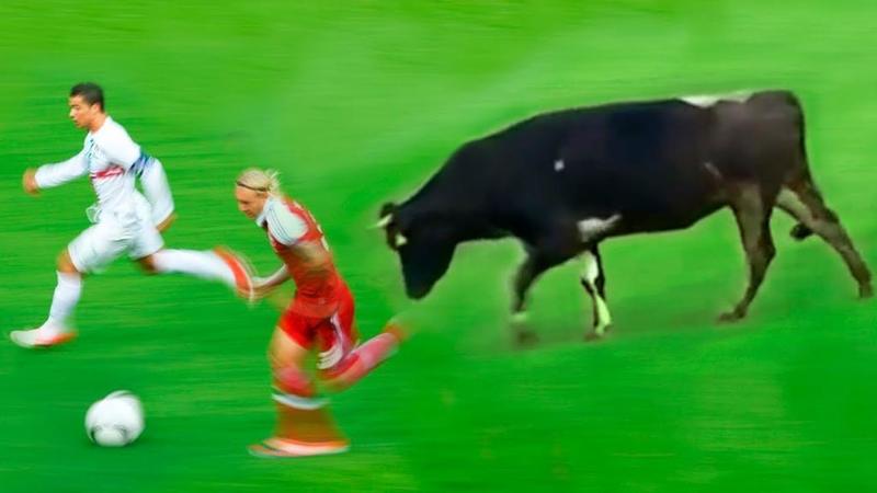 bqr.jpg