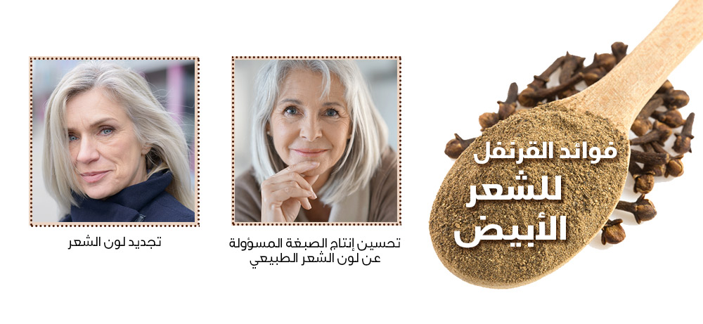 فوائد القرنفل 