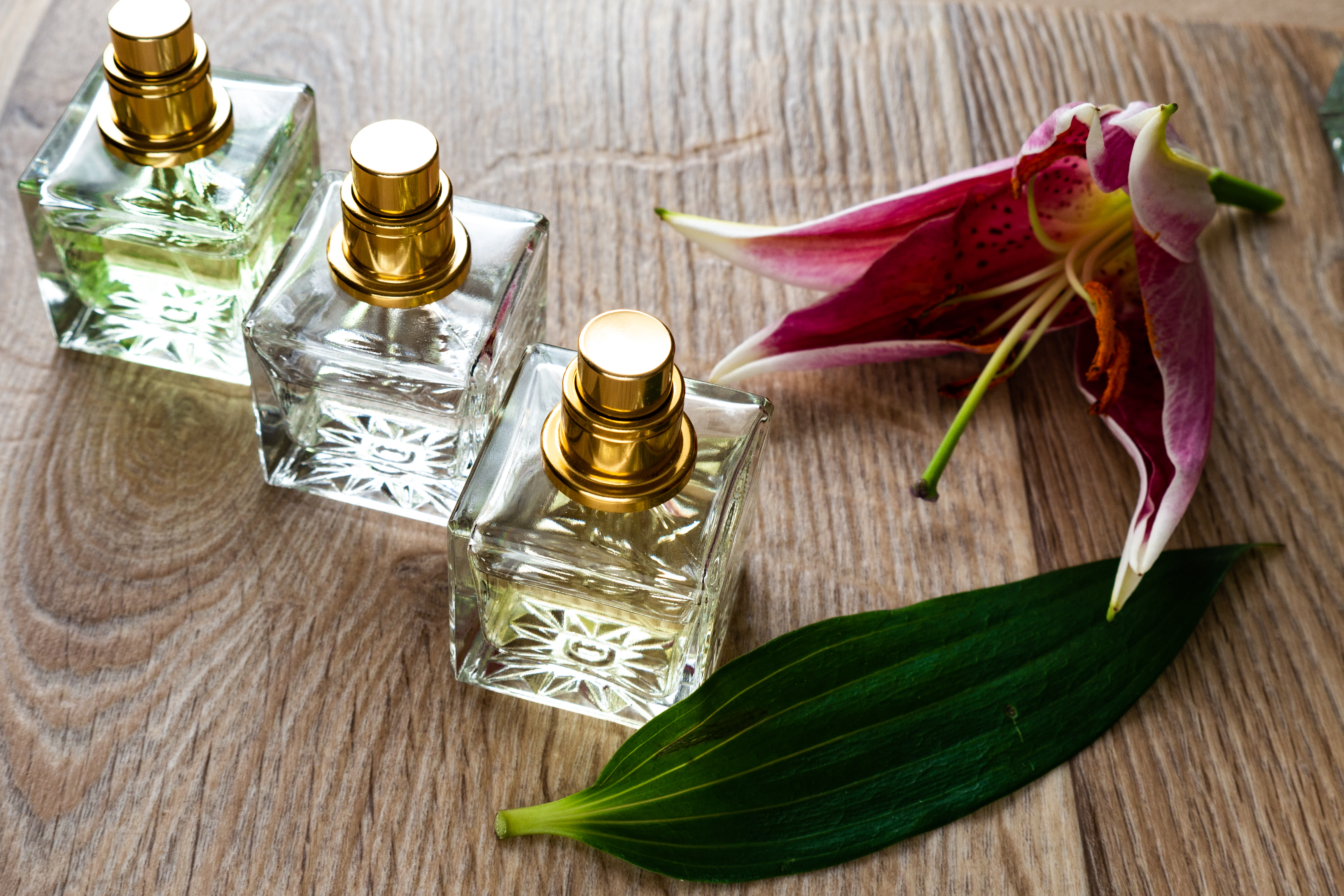عطور