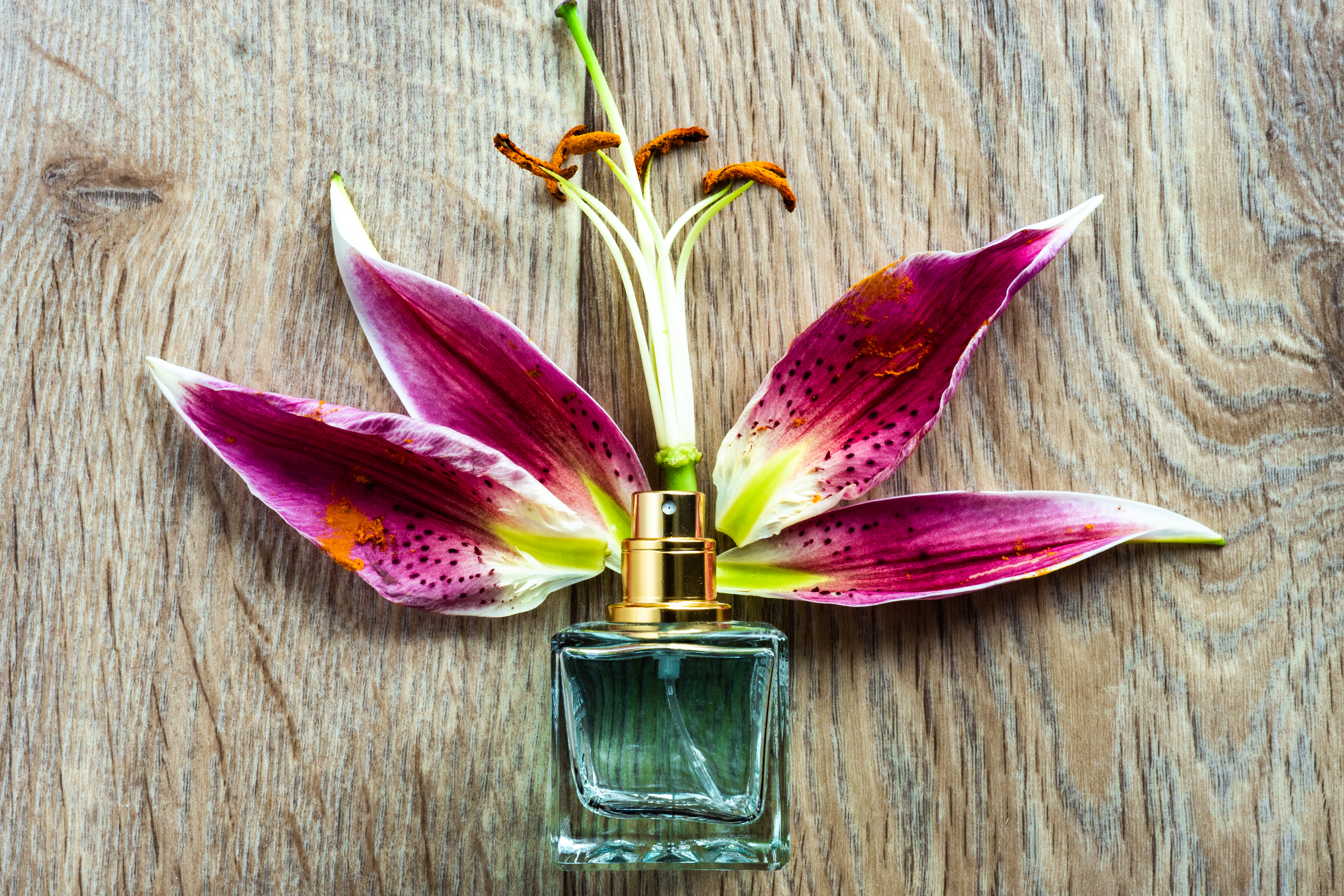 عطور