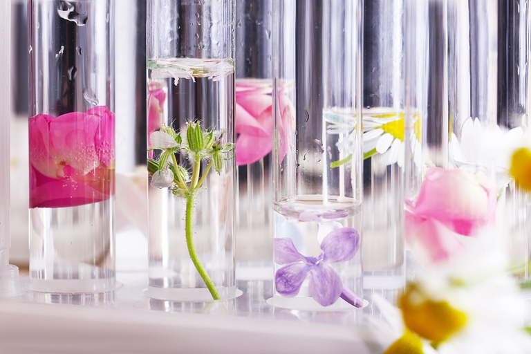 عطور 2020