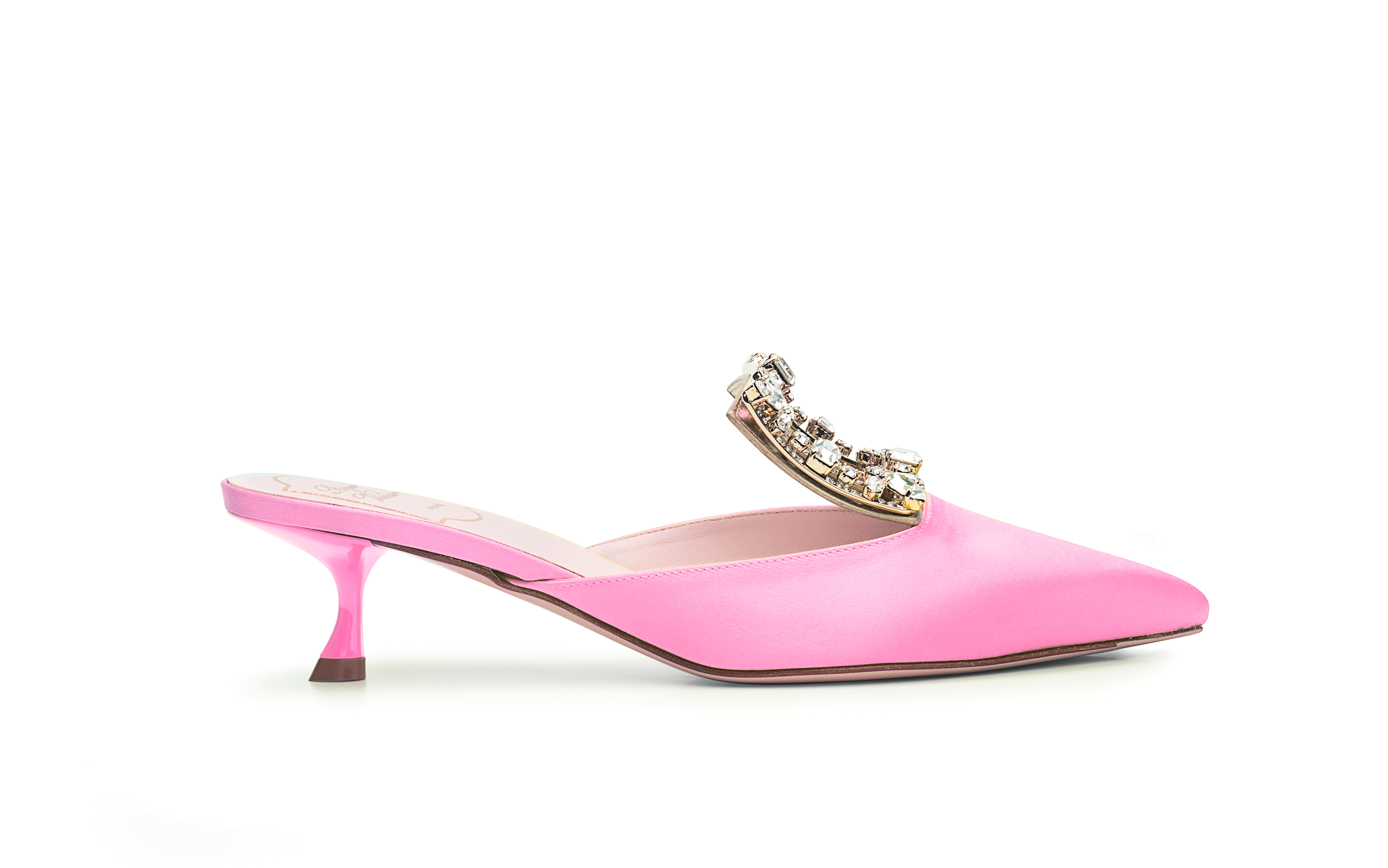 Broche Vivier Strass Mules