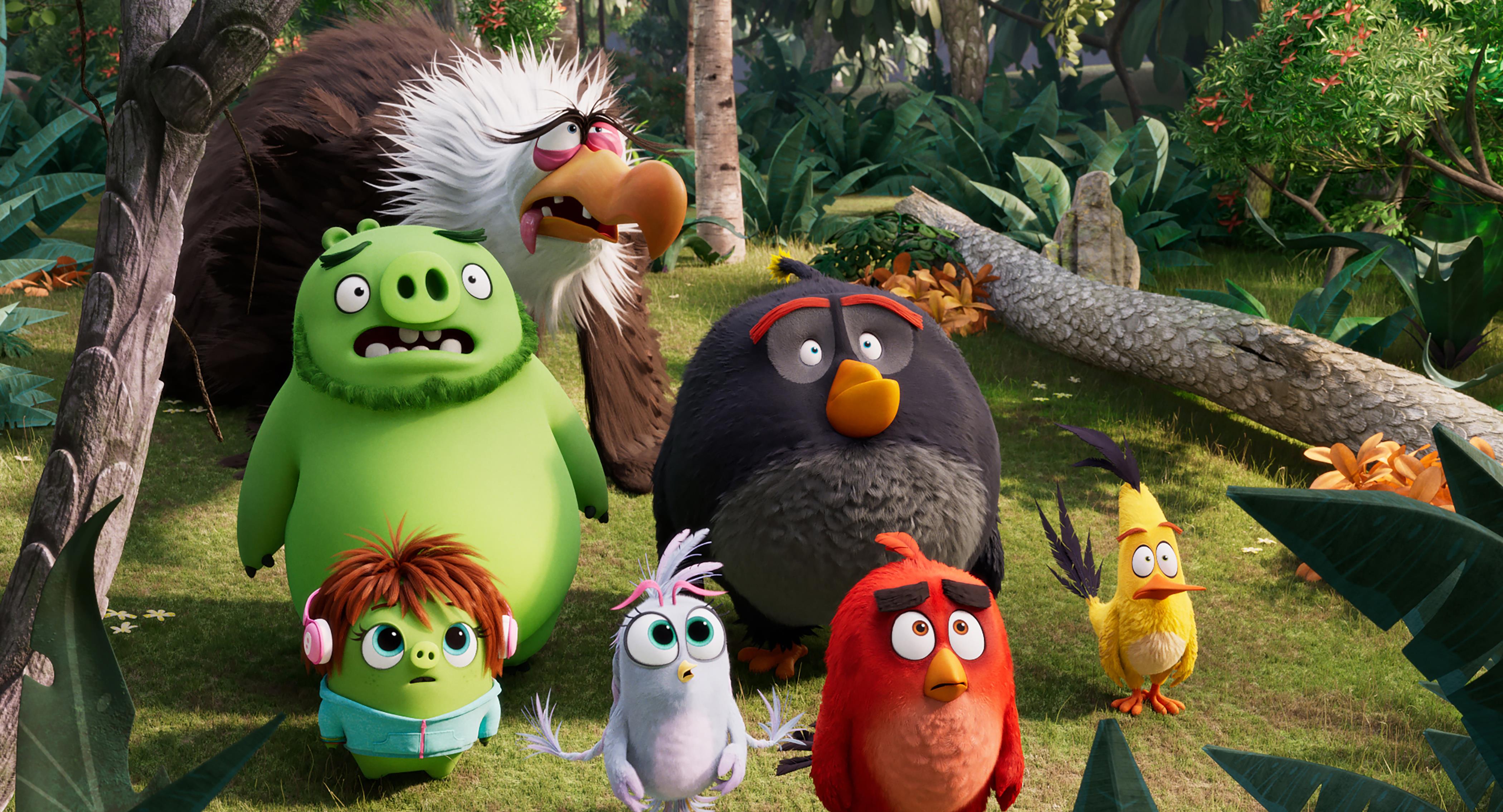 the angry bird