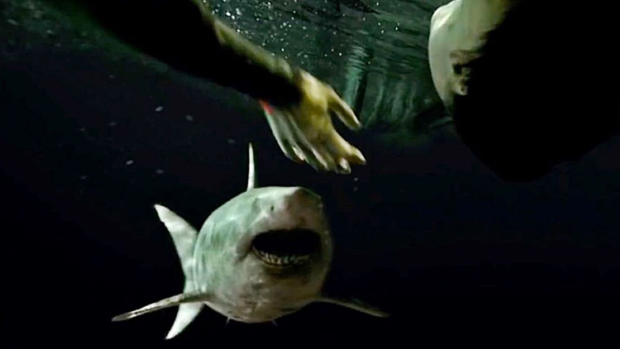 Meters Down: Uncaged 47