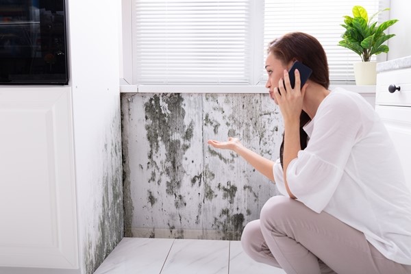 نصائح للتخلص من العفن والرطوبة