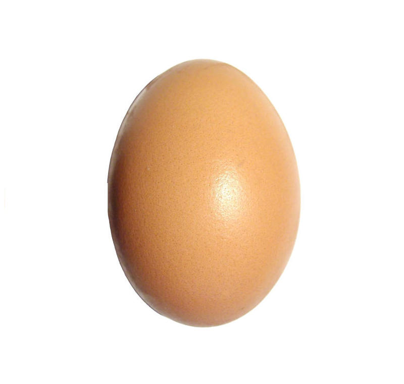 6139981-798054507.jpg
