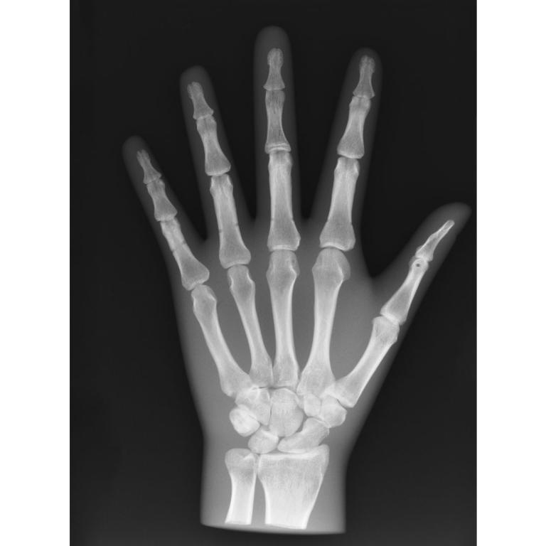 6453096-2084632817.jpg