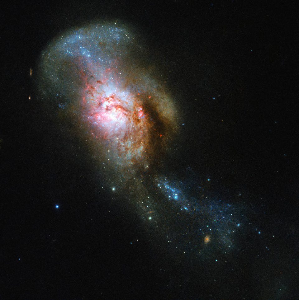 medusa_jttb.960_1_0.jpg
