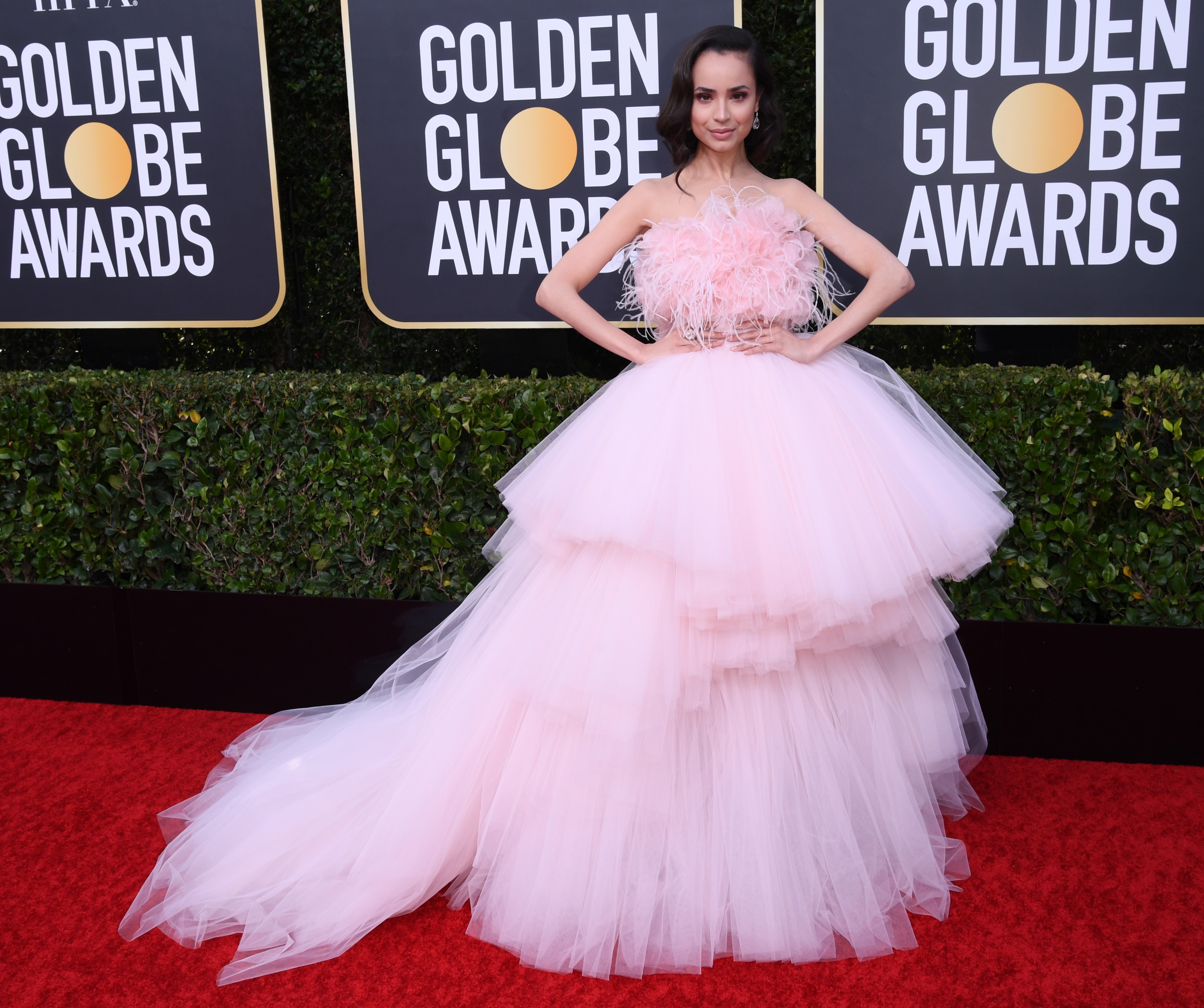 فستان صوفيا كارسون Sofia Carson