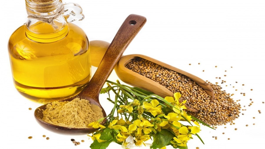 فوائد زيت الخردل للشعر