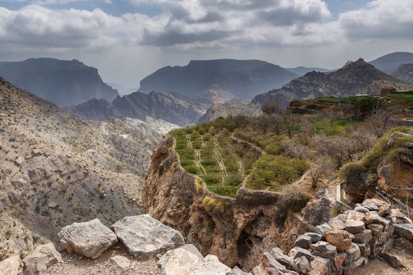 رحلات سياحية داخل الامارات
