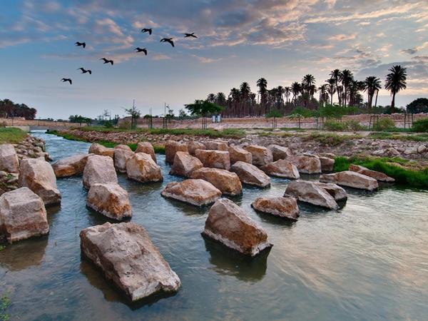 عناوين سعودية داخلية على "أجندة" السياحة