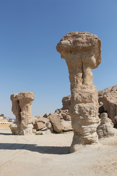 عناوين سعودية داخلية على "أجندة" السياحة