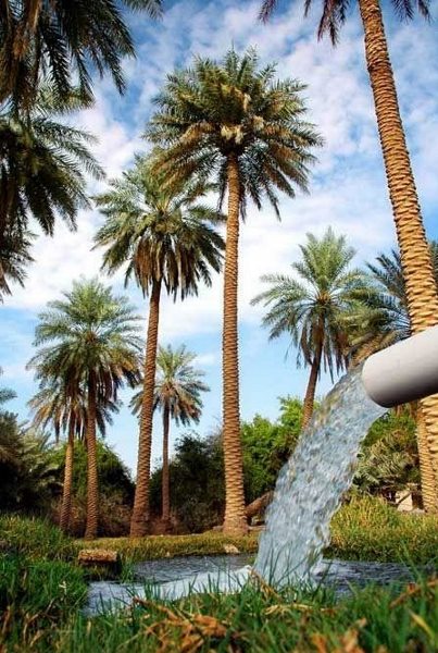 عناوين سعودية داخلية على "أجندة" السياحة