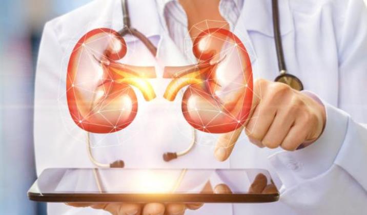 حذار تناول الكثير من البروتينات لأنها تؤثر في عمل الكلى 