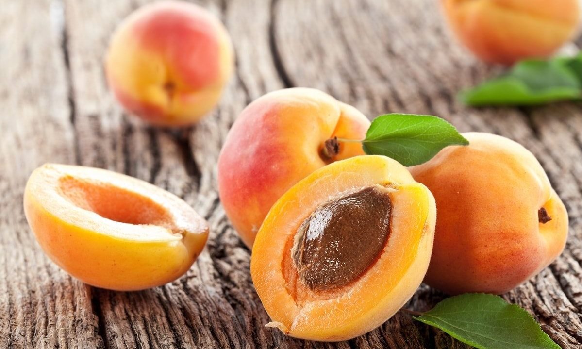 تناولي المشمش المجفف في حال عدم توفره طازجاً