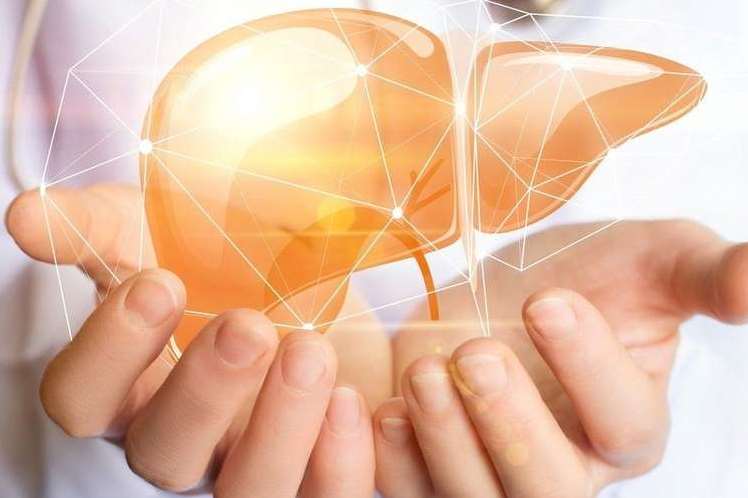 لحماية الكبد فكري بتناول اللبن الرائب وجميع ا لأغذية التي تحتوي على البروبيوتك