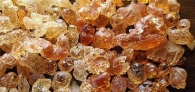 عشبة المر لتطهير الجروح والقروح