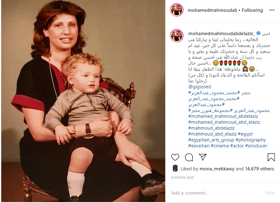 محمد محمود عبد العزيز