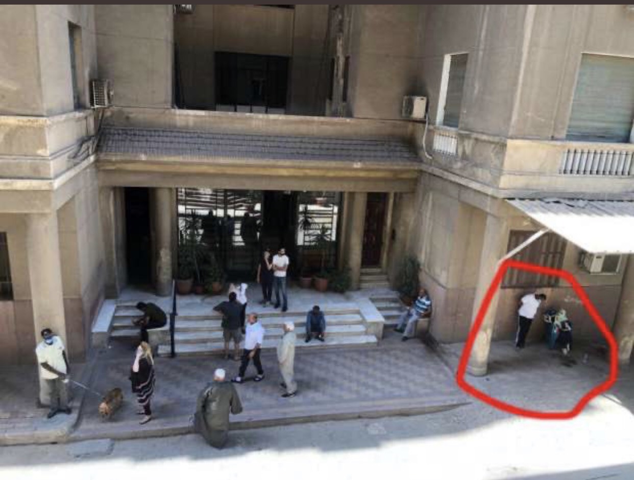 نجاة الصغيرة