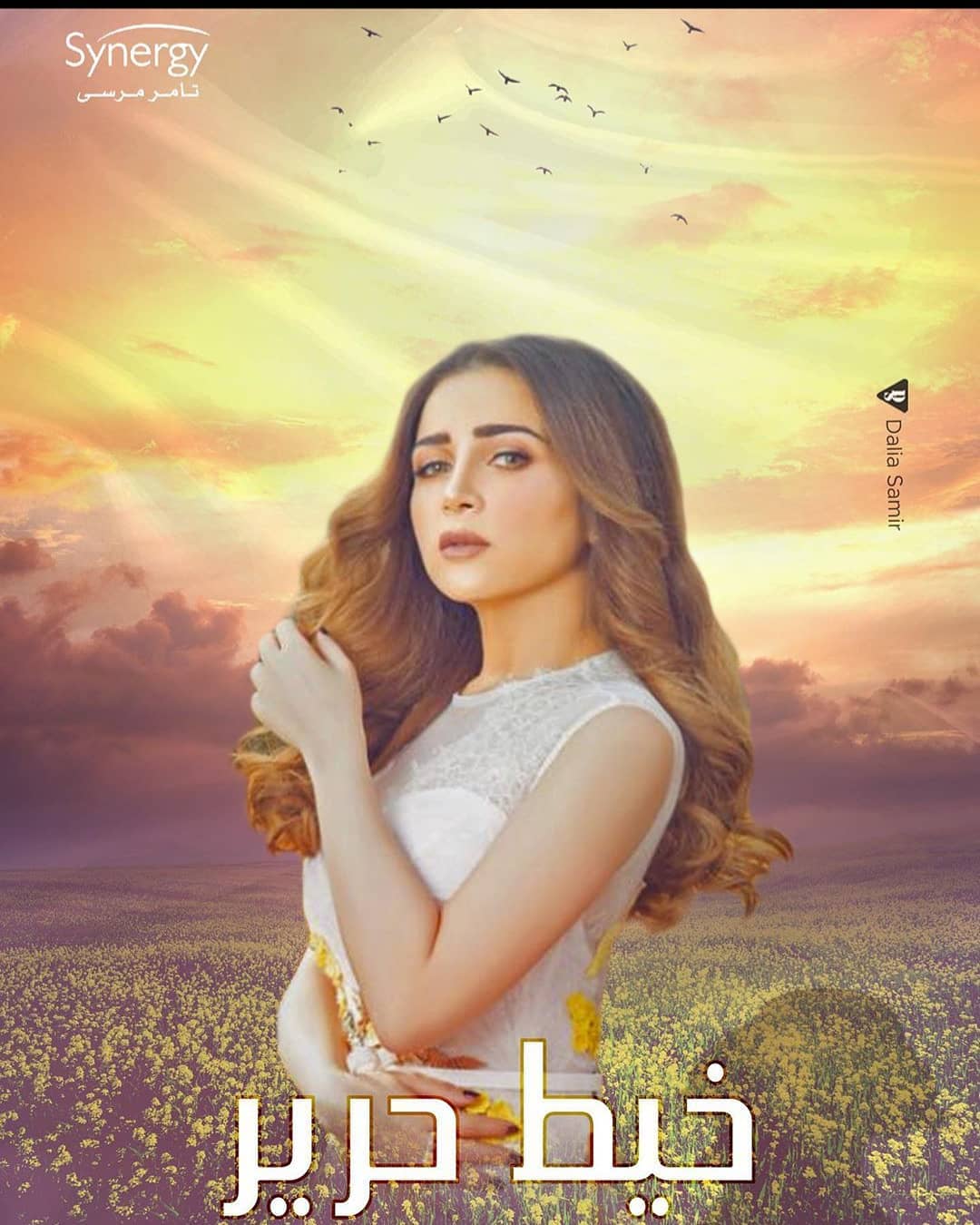مي عز الدين