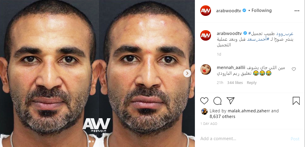 ريم البارودي