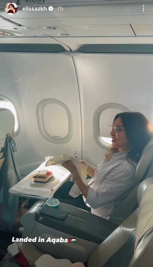 سكرين شوت من الفيديو الذي شاركته إليسا عبر ستوري حسابها على إنستغرام من احتفال طاقم الطائرة المتوجهة إلى العقبة بيوم ميلادها
