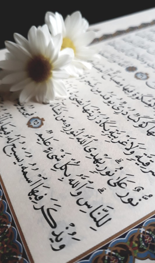 اللغة العربية لغة القرآن - (duniah-almasri - unsplash)