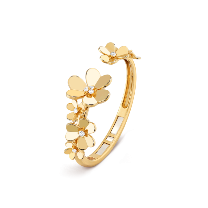 سوار فان كليف اند اربلز 