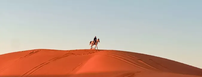 تجربة ركوب الخيل في الرياض