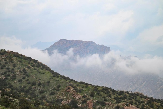 الطائف وجهة صيفية شهيرة