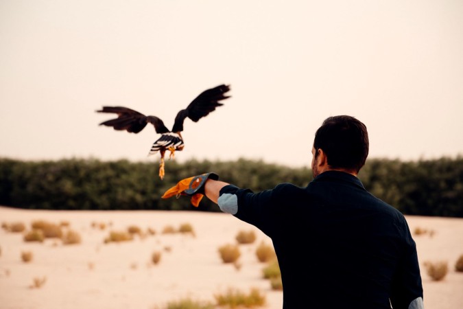 مغامرات مممتعة