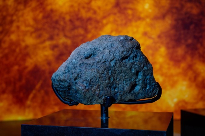 متحف التاريخ الطبيعي أبوظبي 