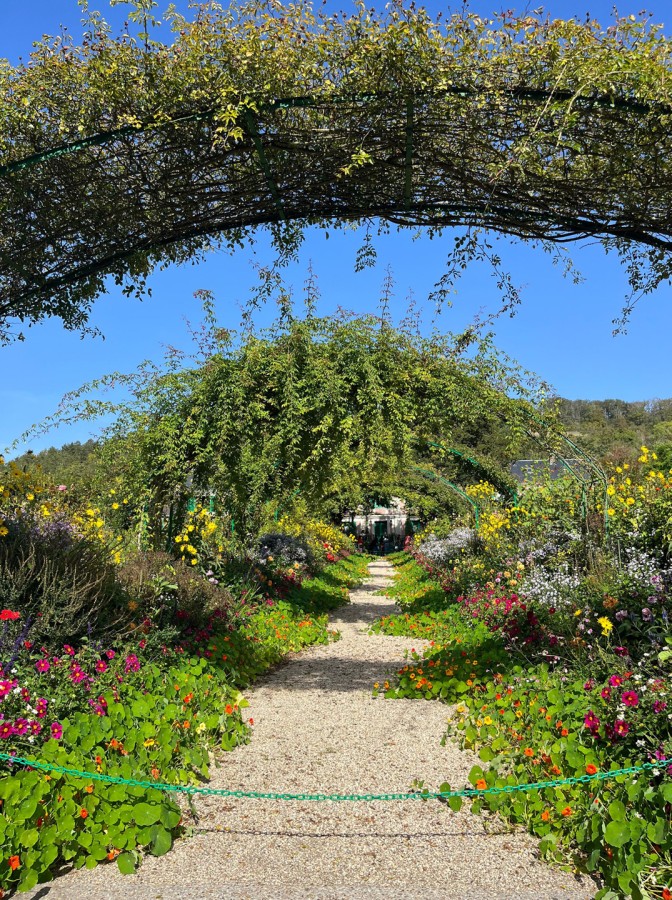 مونيه